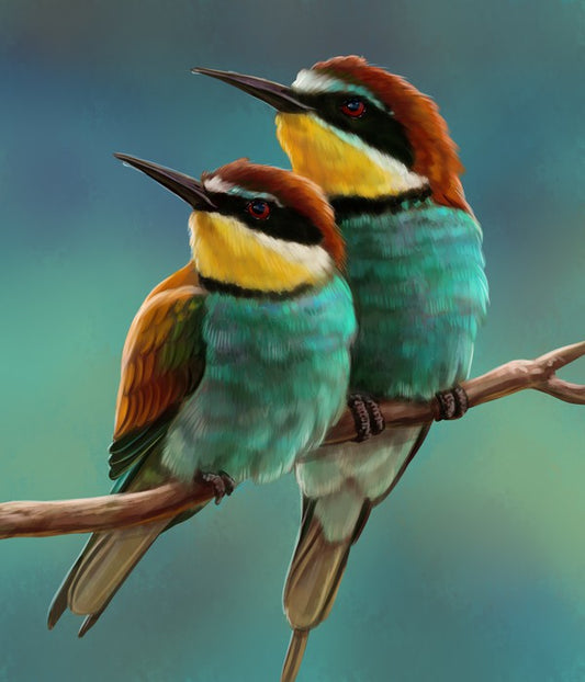 Bee-eater beauty