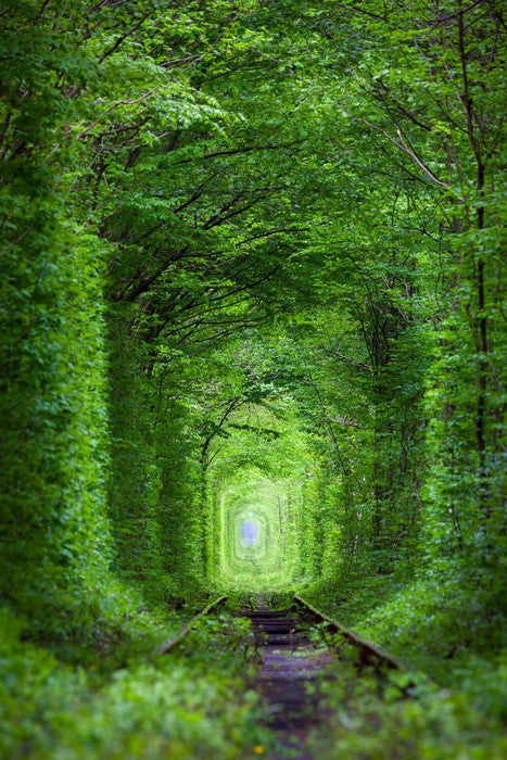 The Tunnel of Love, Ukraine