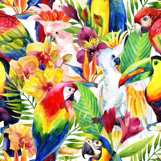 Colourful parrots