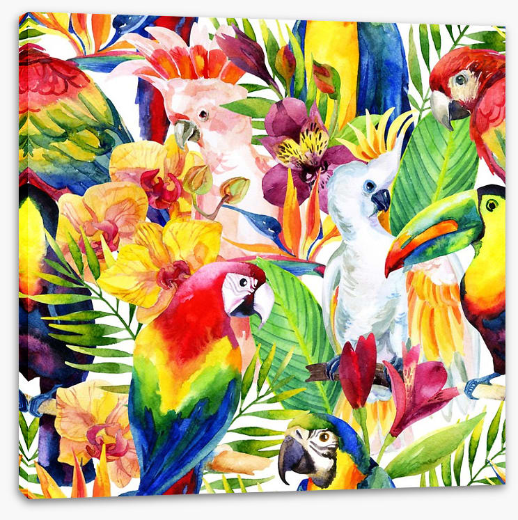 Colourful parrots