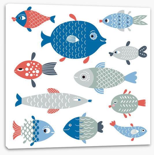 Fish out of water