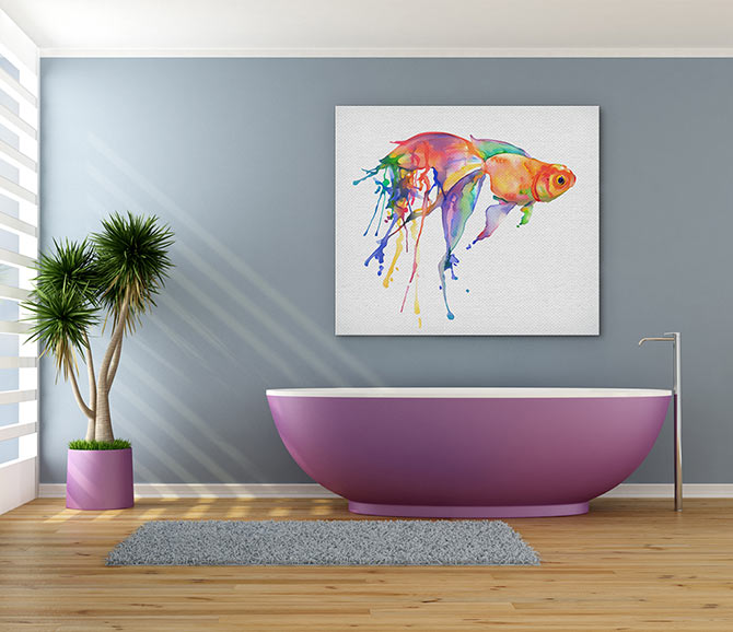 Rainbow goldfish
