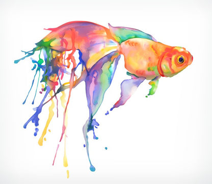 Rainbow goldfish
