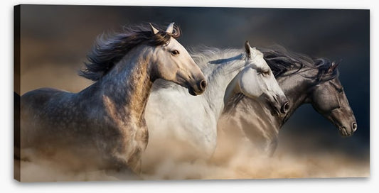 Born to run