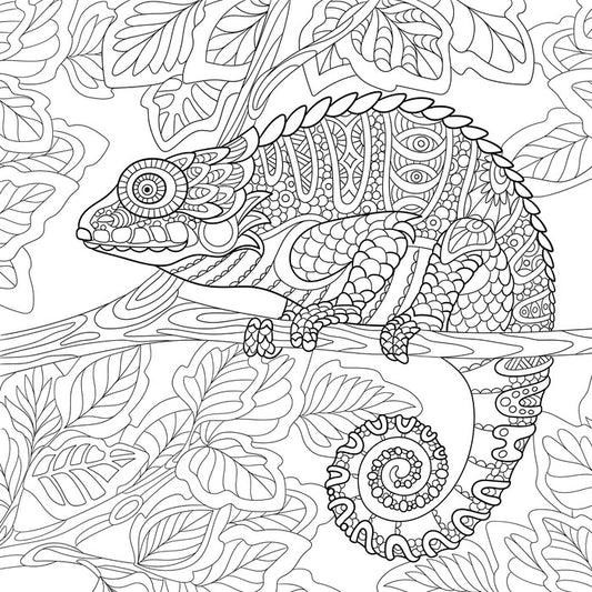 Colour me chameleon