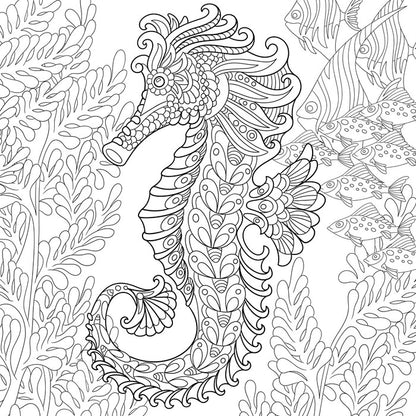 Colour me seahorse