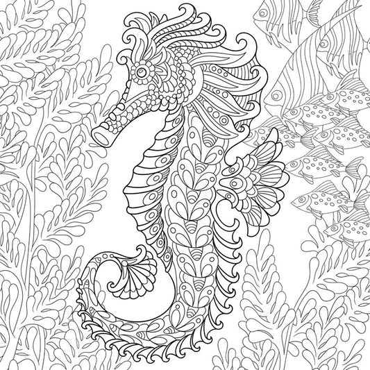 Colour me seahorse