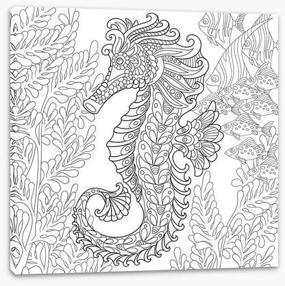 Colour me seahorse