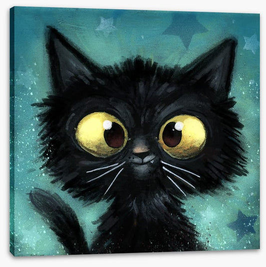 The black cat