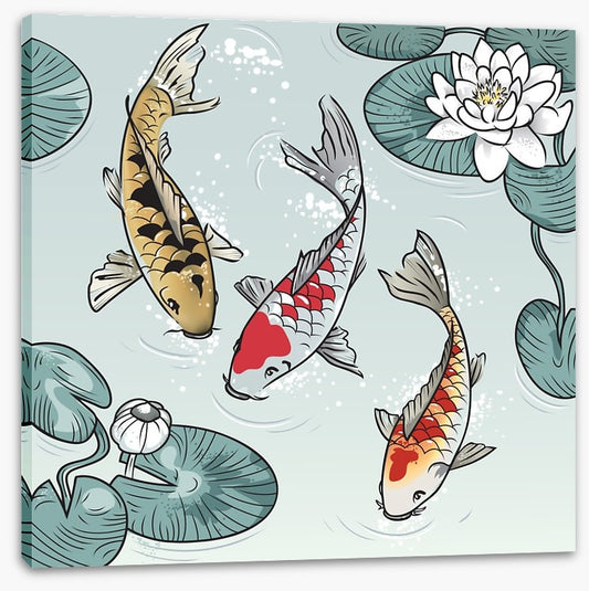 Kawaii koi fish