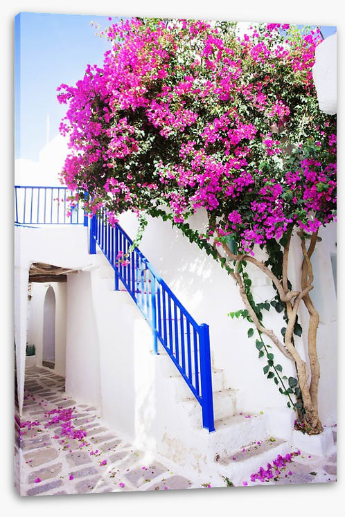 Petals on Paros Island