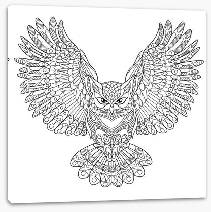 Colour me wings