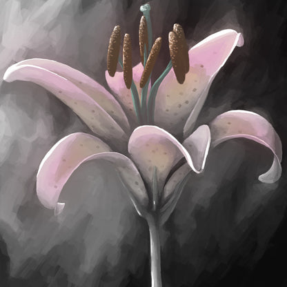 Lily delight