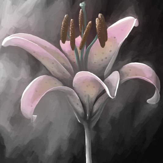 Lily delight