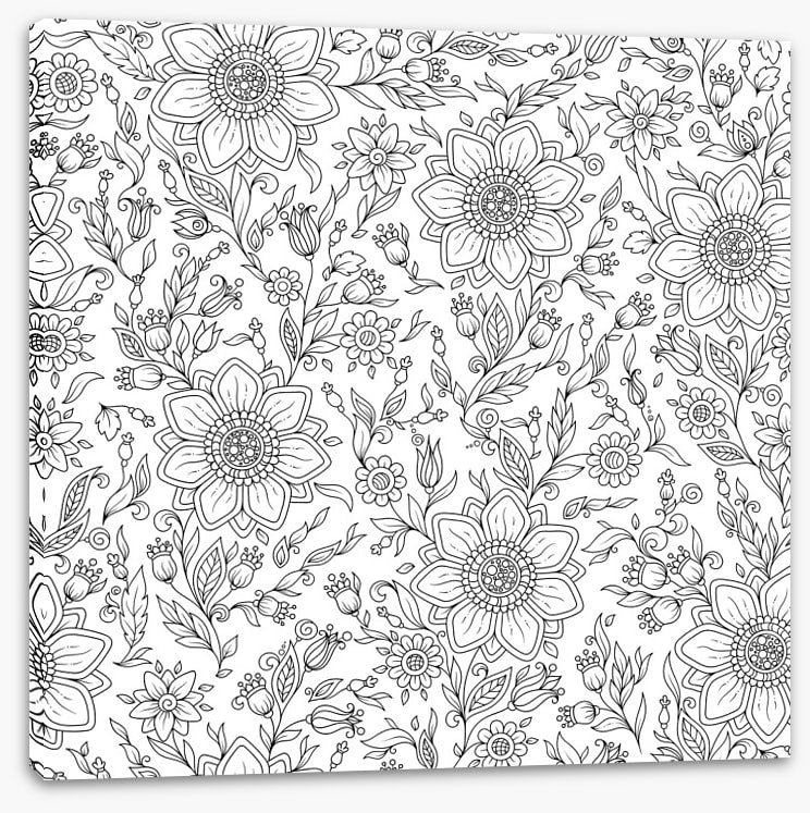 Colour me summer garden