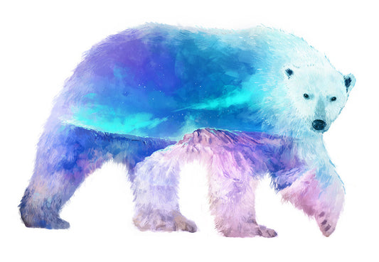 Polar aurora