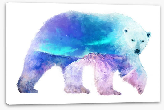 Polar aurora