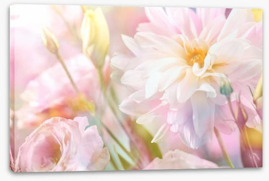 Peony perfection