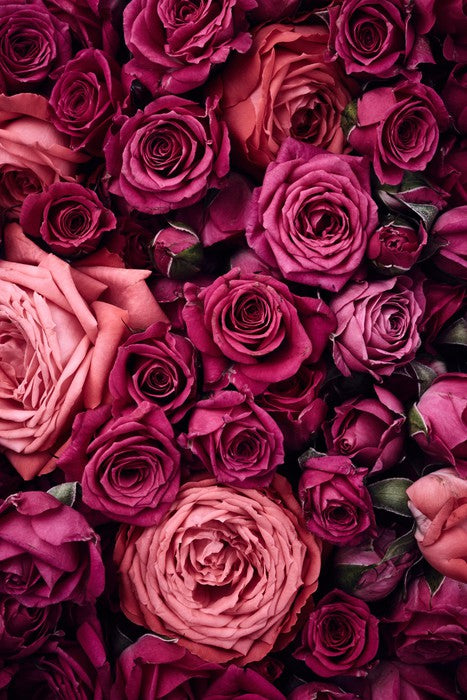 Bed of roses