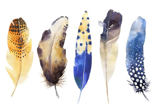 Feather me boho
