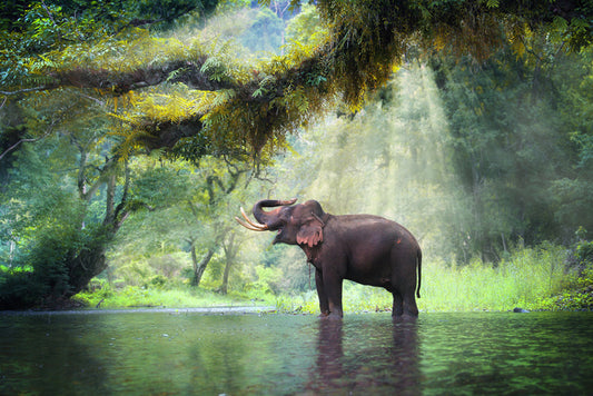 Water play