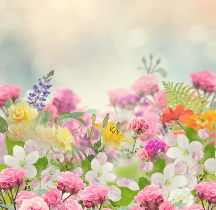 Forever spring