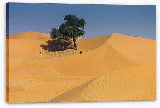 Desert