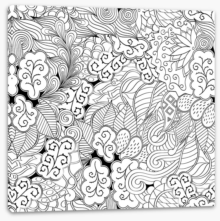 Colour me garden