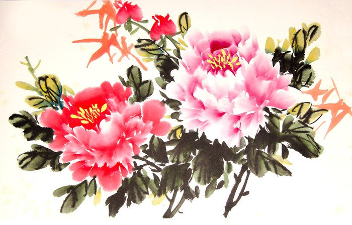 Chinese peony