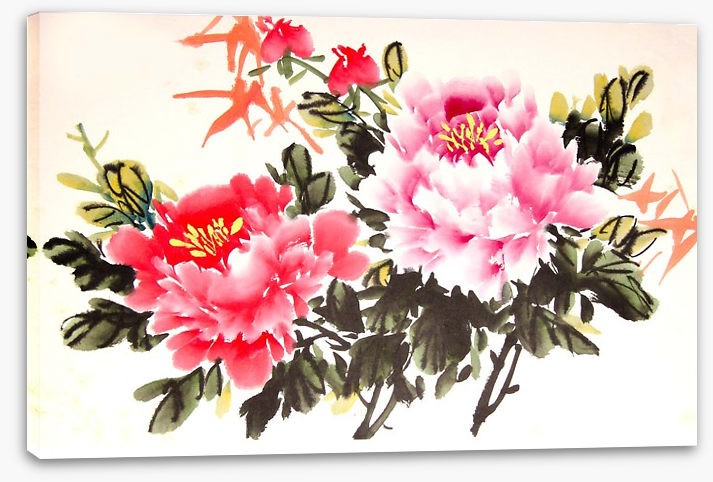 Chinese peony