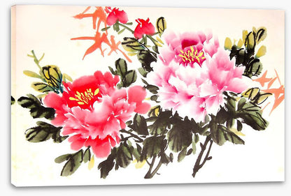Chinese peony