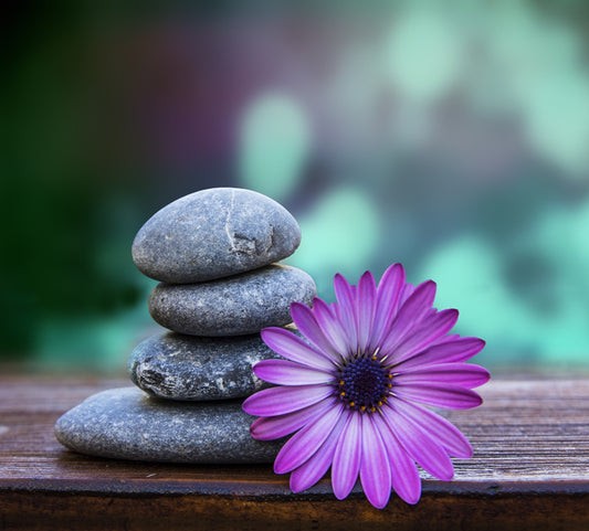 Spring in stone