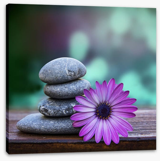 Spring in stone