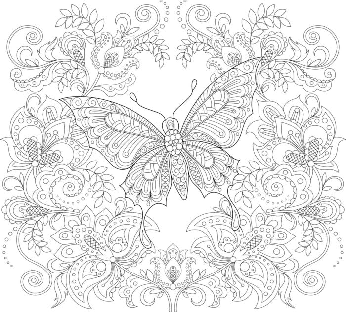 Colour me butterfly garden