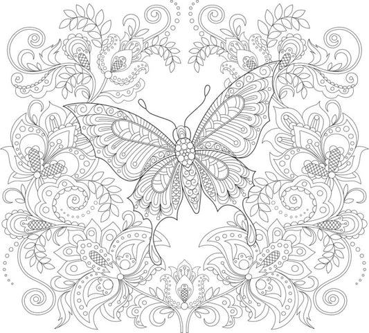 Colour me butterfly garden