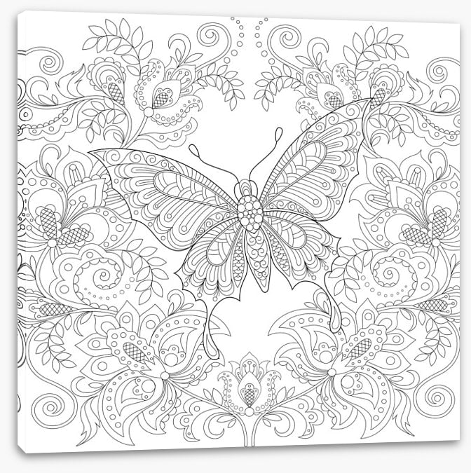 Colour me butterfly garden