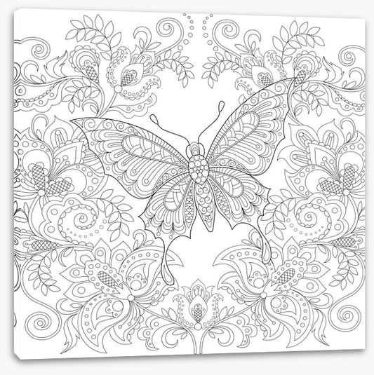 Colour me butterfly garden