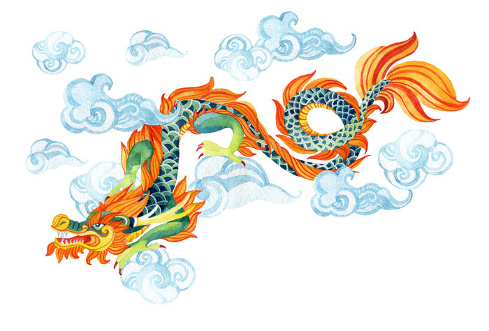 Sky dragon