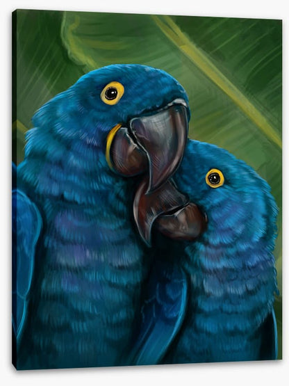 Blue parrot love