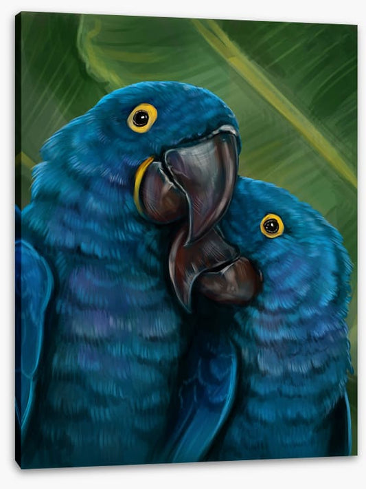 Blue parrot love