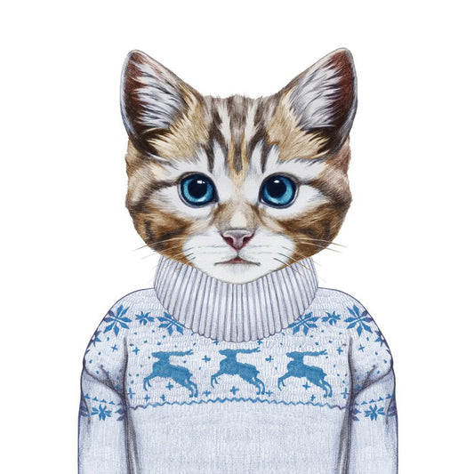 Puss in sweater