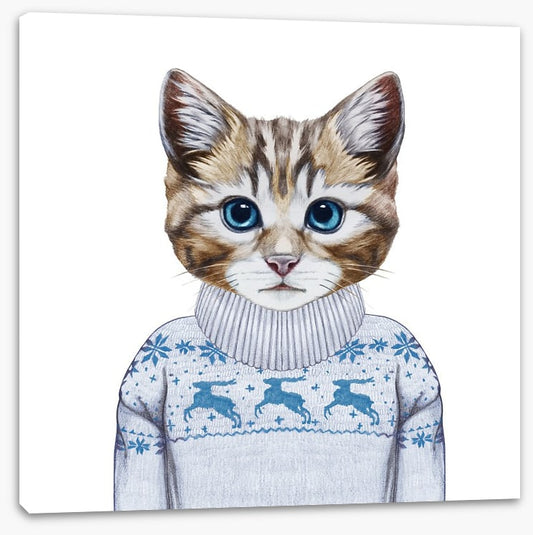 Puss in sweater