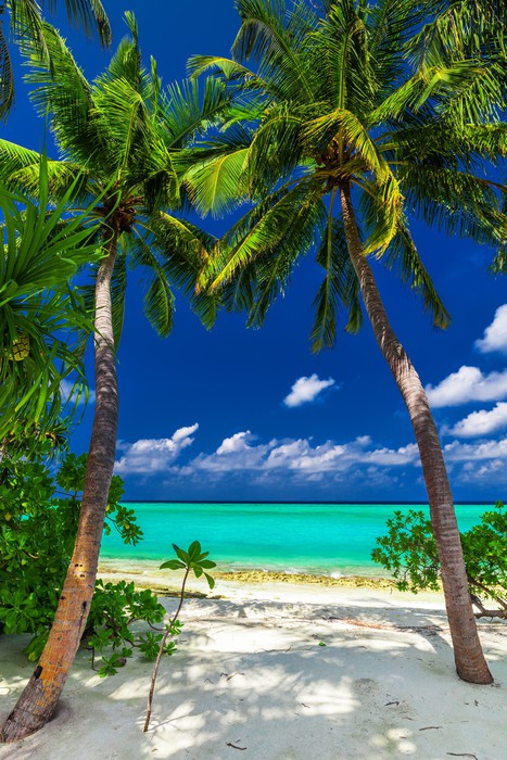 Enter paradise