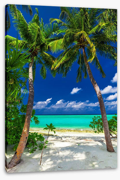 Enter paradise