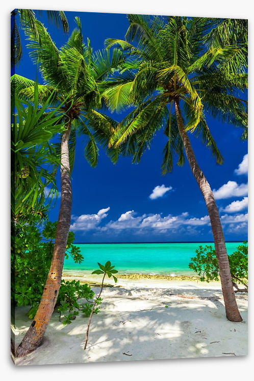 Enter paradise