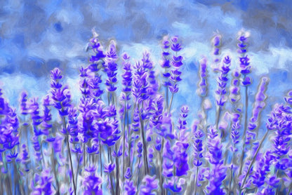 Lavender for luck
