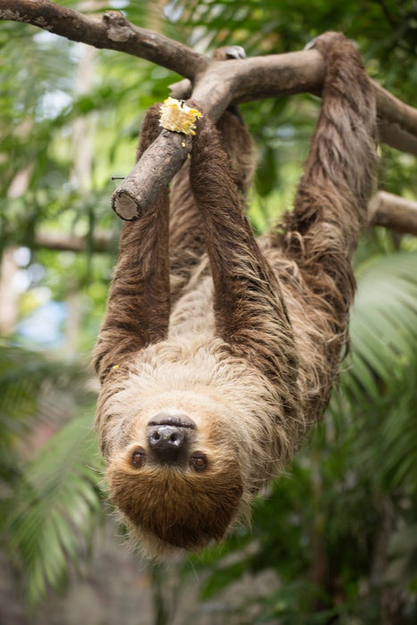 Hang on