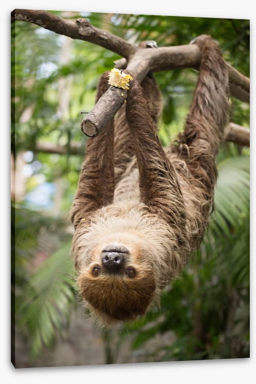 Hang on