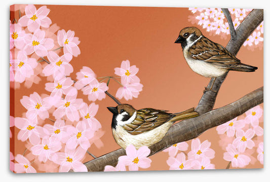Birds
