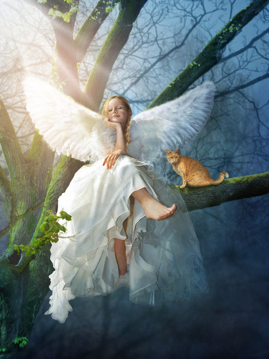Angelic sunbeam